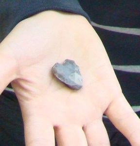 DSC06371-sirds DSC06371-sirds