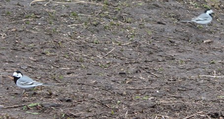 2015-04-12 - IMG_1992